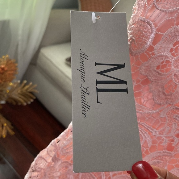 ML Monique Lhuillier French Kiss Frock Dress Size 10 ( C-5) - Picture 5 of 9